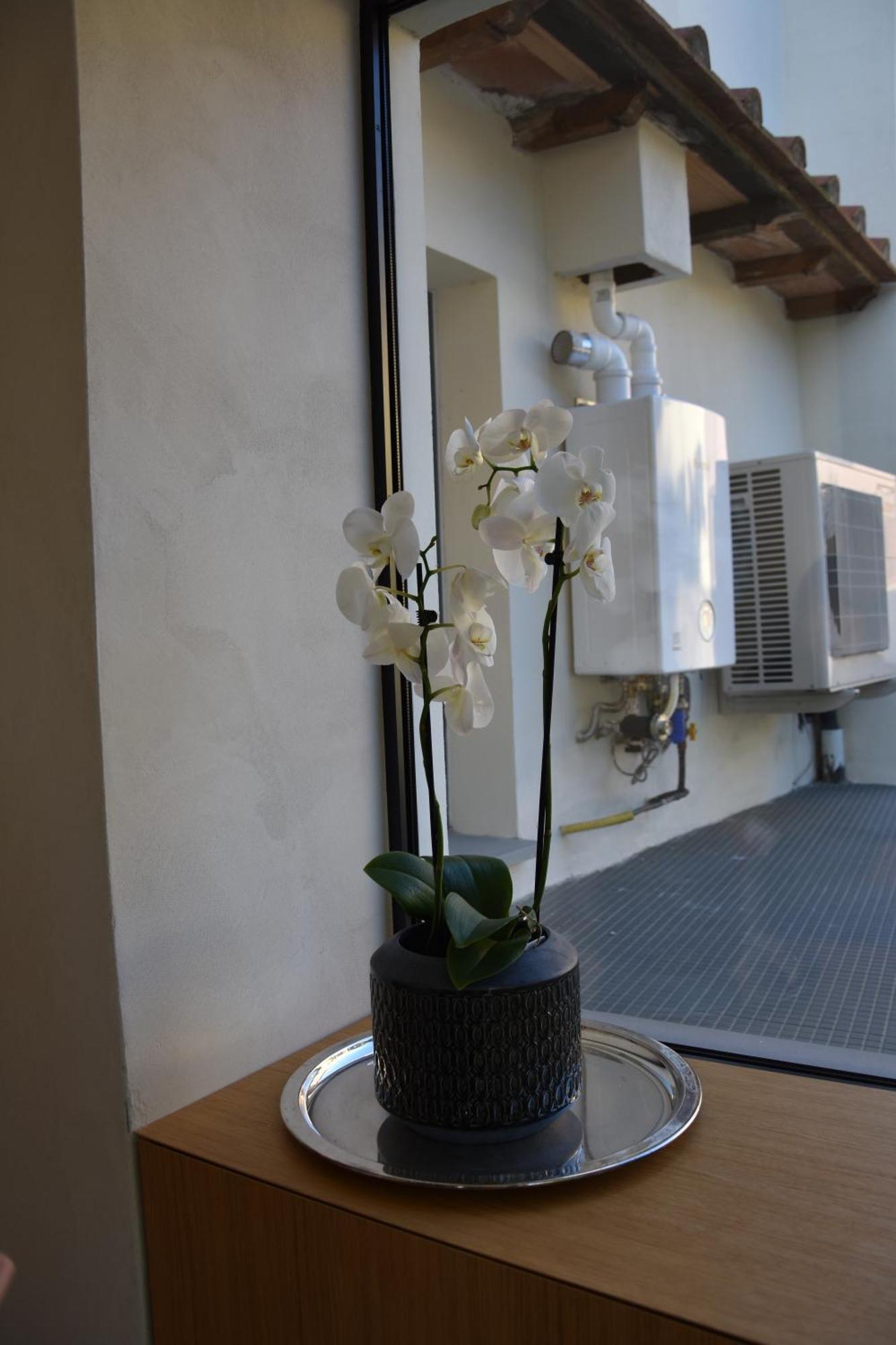 Il Giardino Di Dinda Lejlighed Arezzo Eksteriør billede